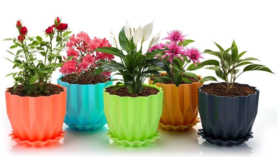 Cammy Plastic Star Flowerpots with Tray Multicolor Set of 5 Piece