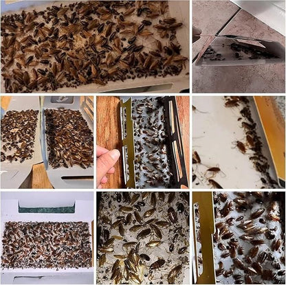 20pc Cockroach Catch Traps, Strong Adhesion Non-Toxic Odorless Pest Control