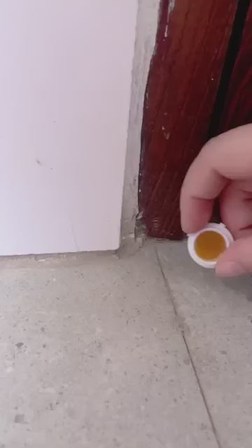 Cockroach Killer Gel Paste – Powerful Indoor Pest Control (500g)